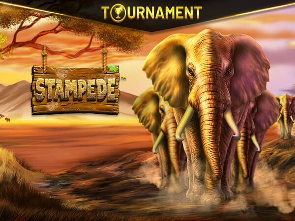 Melhor hora para jogar fortune tiger